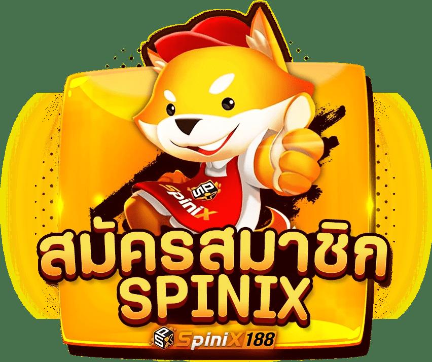 pakyok168 เว็บตรงสล็อต ฝากถอนออโต้ ไม่ผ่านเอเย่นต์ 2026